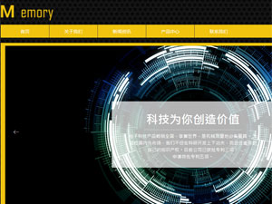 信息科技網(wǎng)站建設(shè)